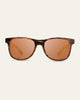 TORTOISE/HARDING