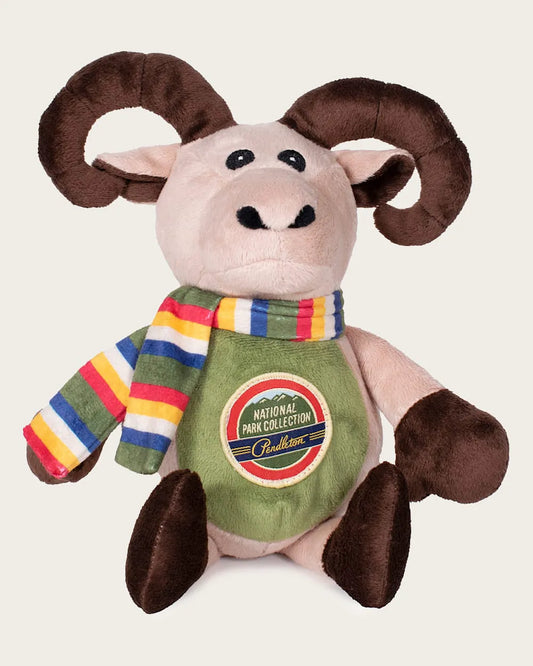 LONG HORN SHEEP